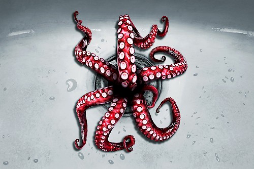 Watco - Octopus