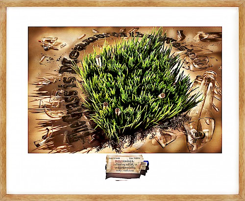 Silent Picture - The Grass is Meaner on the Westside