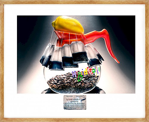 Silent Picture - Hybrid Coffee