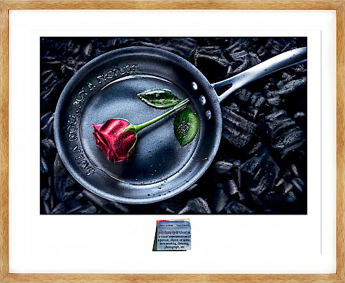 Silent Picture - Save a Rose. Buy a Picture.