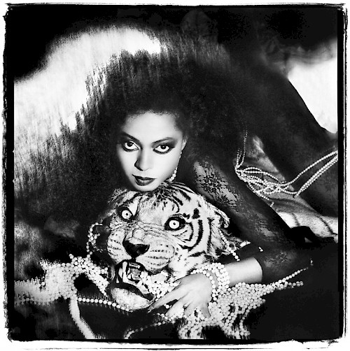 Occupation Dreamer - Diana Ross
