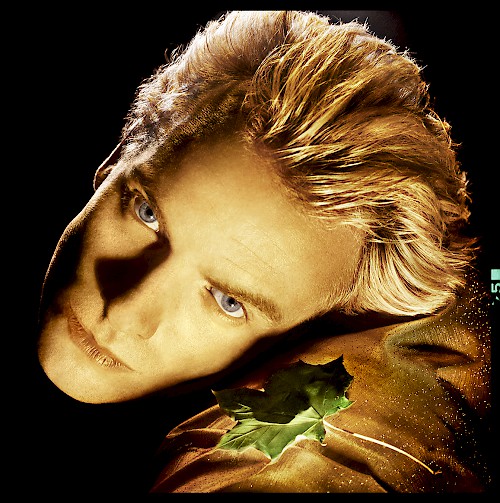 Occupation Dreamer - Sting
