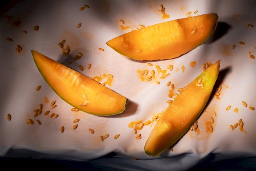 Bite Me- Bitten Cantaloupe