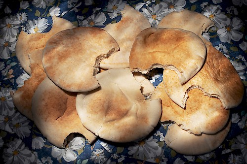 Bite Me- Bitten Pita
