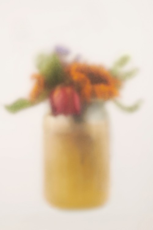 Farsighted- Flowers