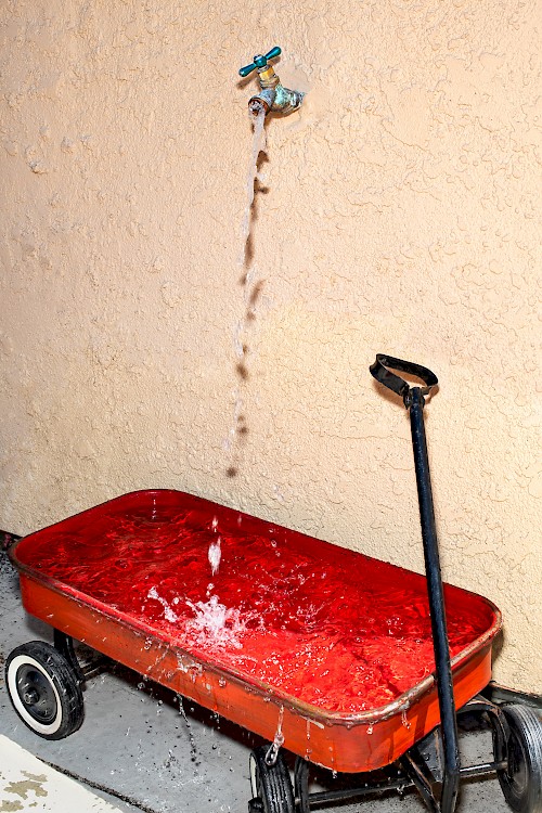 Man Woman Faucet- The Wagon